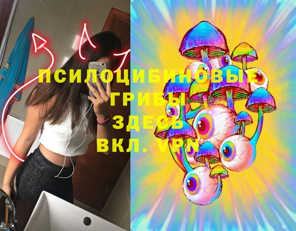молекула духа Армянск
