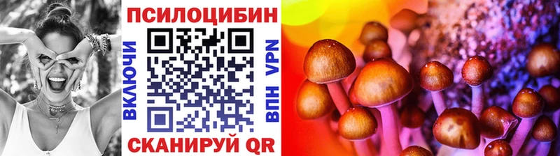 Псилоцибиновые грибы Psilocybine cubensis  Лихославль 